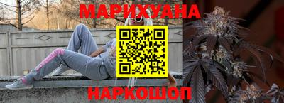 сатива Малгобек